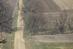 This a country road on early  spring afteroon that seems to never end.