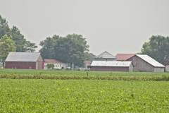 Collection of buildings
