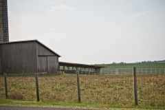 A unique feedlot from history