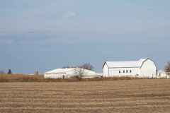 Farm outbuildings at first light