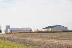 Farm Sheds on a cold morning