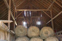 Round bales of hay waiting to be fed to some hungry cows on a summers day.